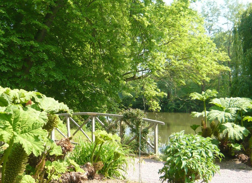 Chateau De Beneauville Bed & Breakfast Petiville  Bagian luar foto